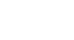 Network Kurumsal Logo