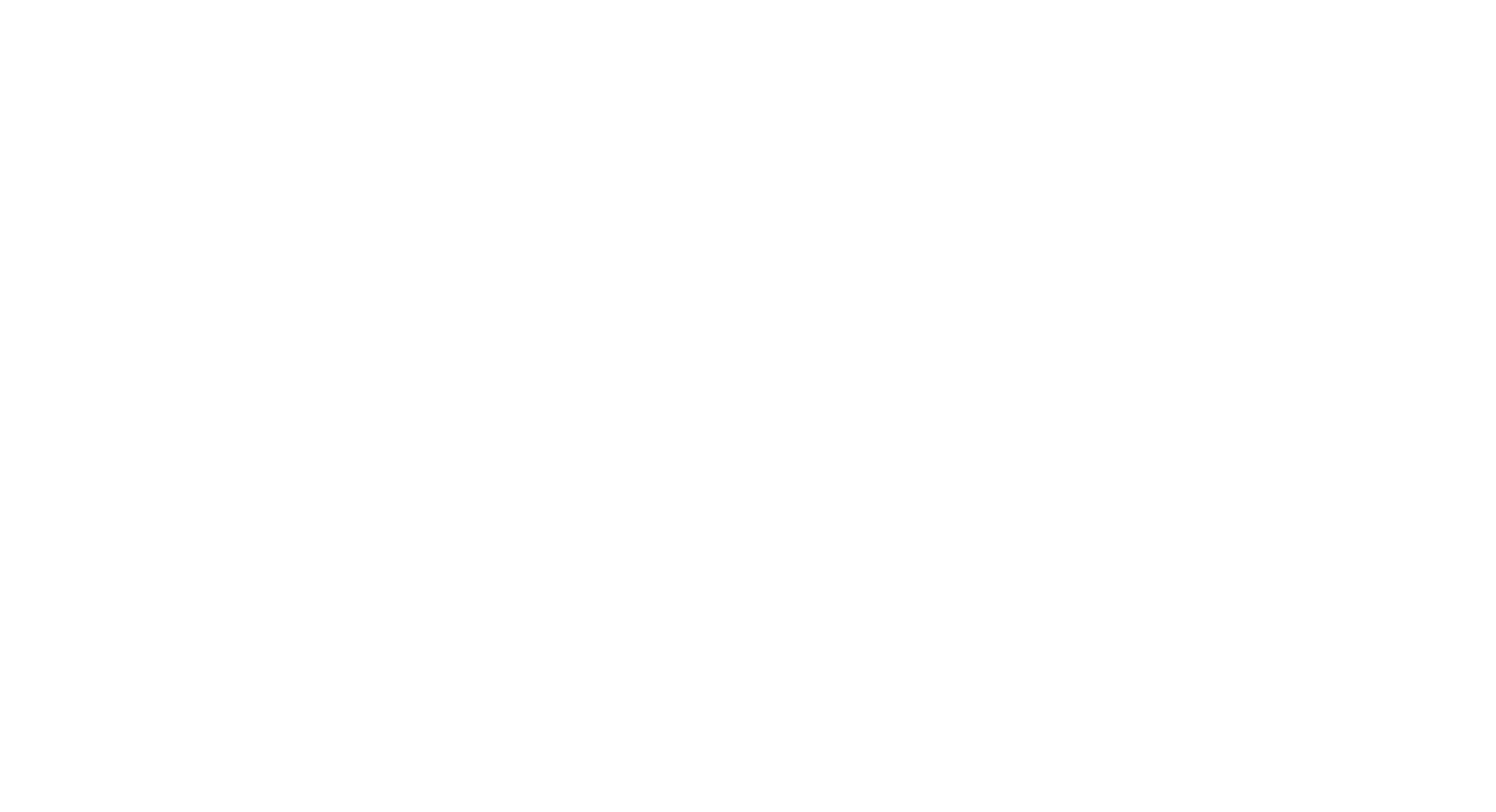 Network Kurumsal Logo